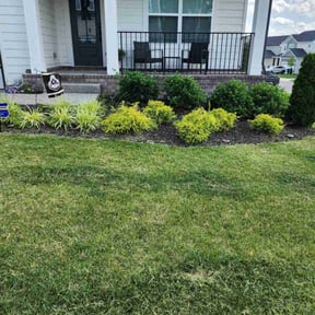 yard service by Matts lawn care reviewed on August 21, 2025