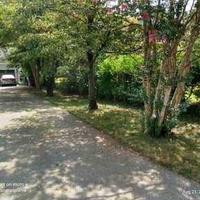 Bush Trimming by Enclave Landscape Management reviewed on August 18, 2025