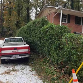 Bush Trimming by Major green lawn care services reviewed on August 16, 2025