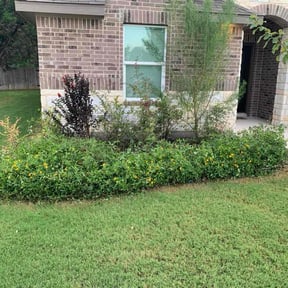 Bush Trimming by J&amp;A Landscapes reviewed on December 4, 2025