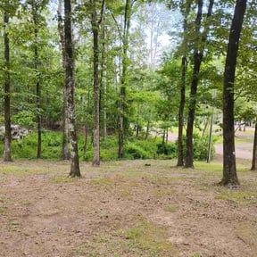 Leaf Removal by Perfect cuts lawn care reviewed on June 4, 2026