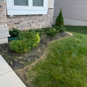 Bush Trimming by Hector's Lawn Care reviewed on January 18, 2026