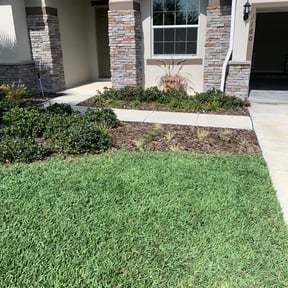 Flower Bed Weeding by Green Texas reviewed on August 17, 2025
