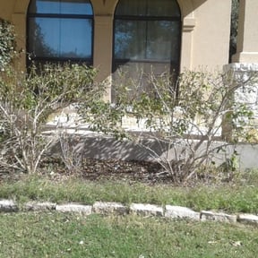 Bush Trimming by Lamar&#039;s Mowing Company reviewed on August 17, 2025