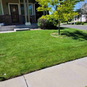 lawn care by Diverse Doors Landscaping reviewed on August 15, 2025