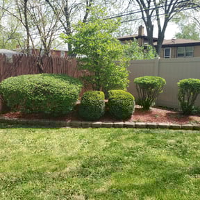 Bush Trimming by Double E Lawn Service reviewed on August 19, 2025