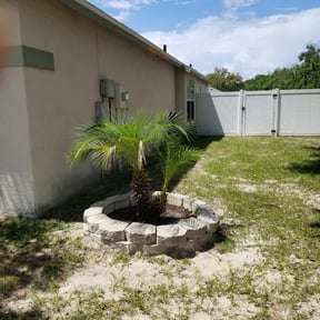 Bush Trimming by Morgan Landscaping LLC reviewed on October 23, 2025