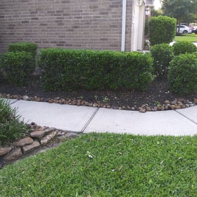 Bush Trimming by At Your Door Chores reviewed on August 19, 2025