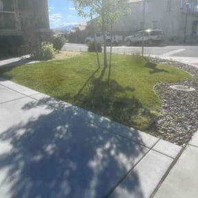 turf maintenance by Ransome &amp; Son reviewed on May 13, 2025