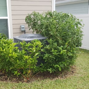 Bush Trimming by Guardian Lawn & Landscape reviewed on August 16, 2025