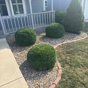 Bush Trimming by P&amp;W Lawn Care reviewed on October 24, 2025