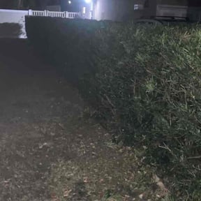 lawn service by Ninja Lawn and landscape reviewed on November 15, 2024