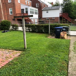 Bush Trimming by Aces wild reviewed on November 10, 2025