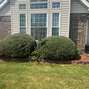 Bush Trimming by Mighty Mobile Express LLC reviewed on December 24, 2025