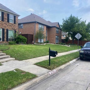 landscaping by The Green Op reviewed on August 21, 2025