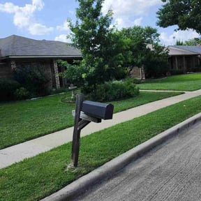 yard service by Ransome & Son reviewed on August 21, 2025