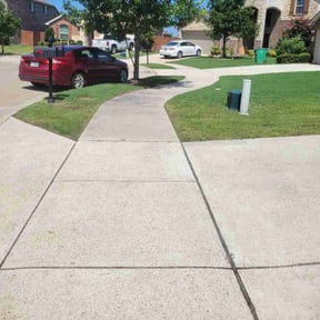 yard work by Javier's Lawn Care Services reviewed on August 19, 2025