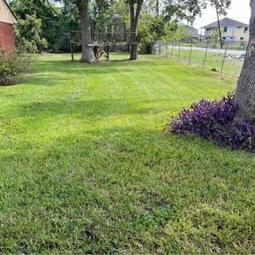 landscaping by House ODonnell Ventures reviewed on August 18, 2025