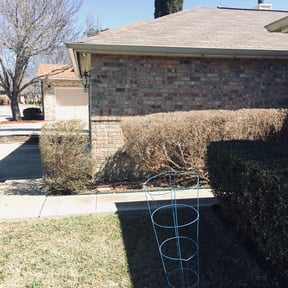 Bush Trimming by Rivera Brother Landscaping reviewed on October 21, 2025