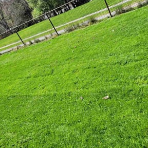 lawn service by Joe Molinaro reviewed on August 19, 2025