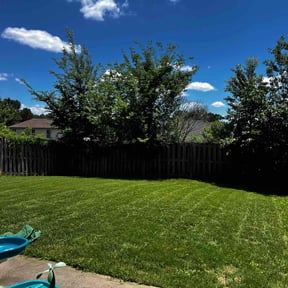 landscaping services by Oxendine's LawnCare reviewed on August 21, 2025