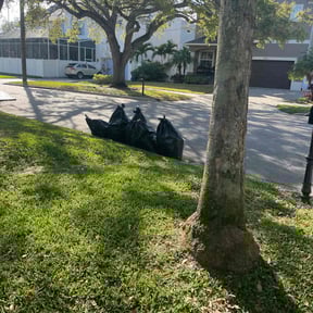 Leaf Removal by Nature's Nurturers reviewed on September 21, 2025