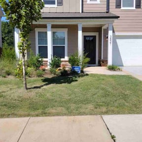 yard service by RTH Lawn Service & Landscaping LLC reviewed on August 21, 2025