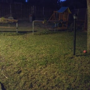 Leaf Removal by Cleancut Landscaping reviewed on September 24, 2025