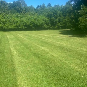 gardening service by Dads Lawn Services reviewed on August 20, 2025