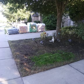 Leaf Removal by Almost Perfect lawncare reviewed on August 16, 2025
