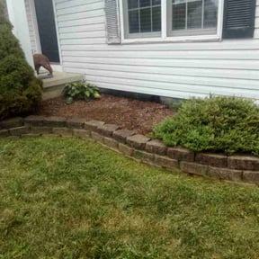 Flower Bed Weeding by Lawnhoppers reviewed on October 19, 2025