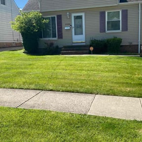 Other by Both Sides Of The Fence Lawn Care and Maintenance LLC. reviewed on August 16, 2025