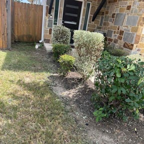 Bush Trimming by Tammy Becker Pool and Lawn Care reviewed on August 15, 2025