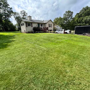 yard maintenance by Cbtme lawn co. reviewed on August 16, 2025