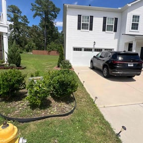 Bush Trimming by Diamonds In The Ruff reviewed on December 10, 2025