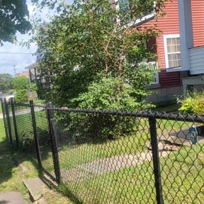 Bush Trimming by Michael's Lawn Maintenance reviewed on August 15, 2025