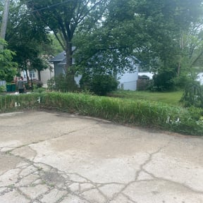 Bush Trimming by Seals Landscaping reviewed on August 16, 2025