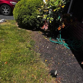 Flower Bed Weeding by All Terrain Lawn Services reviewed on May 18, 2026