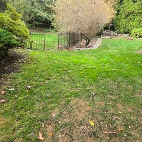 Leaf Removal by CGM LANDSCAPING SERVICE reviewed on September 1, 2026