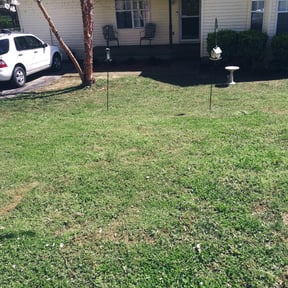 Leaf Removal by Red Maple Lawn Care reviewed on October 2, 2025