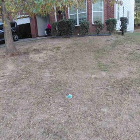 Bush Trimming by VonBerge Family Lawncare reviewed on November 18, 2025