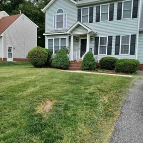 Bush Trimming by Zephyr lawncare reviewed on August 21, 2025