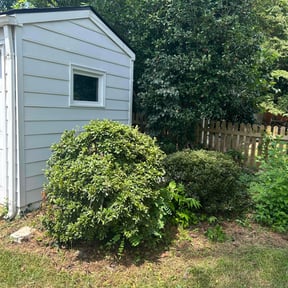 Bush Trimming by Maintenance Unlimited reviewed on August 20, 2025
