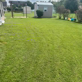 residential landscaping by B and B Landscaping reviewed on August 16, 2025