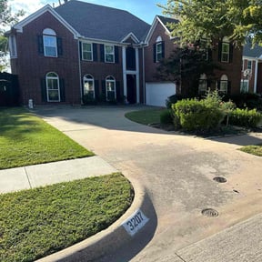 yard maintenance by Tegridy Mushrooms LLC reviewed on August 20, 2025