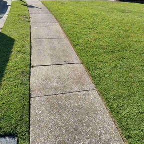 landscaping services by The Williams reviewed on August 19, 2025
