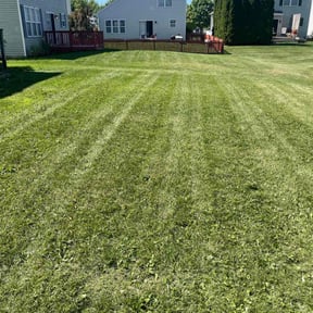 lawn care by Dortch lawn care reviewed on August 25, 2023