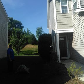 Bush Trimming by B.G lawn care & Landscaping reviewed on August 17, 2025