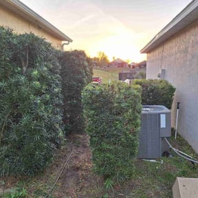 Bush Trimming by Hatchetts lawn and landscape reviewed on August 20, 2025