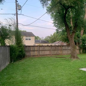 Tree Trimming by KRK Mowing reviewed on November 24, 2025